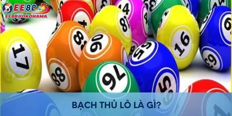 Bạch Thủ Lô là gì?